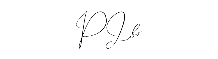 American  Free Fonts Download