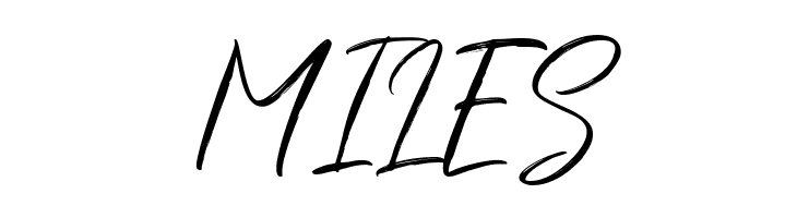 ShuttenReasonFree  Free Fonts Download