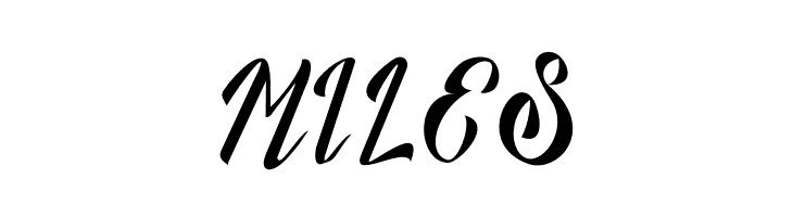 Munich  Free Fonts Download