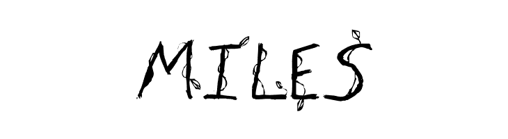 Fh_Euphoria  Free Fonts Download