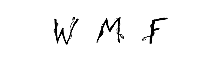 Fh_Euphoria  Free Fonts Download