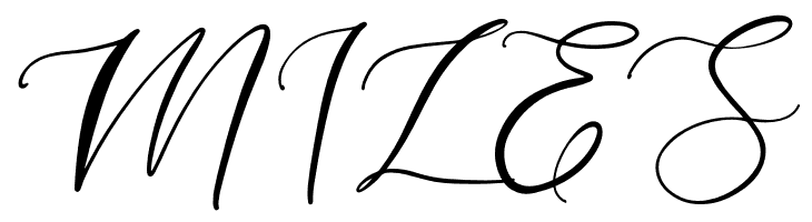 angelina  Free Fonts Download