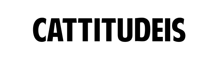 American Purpose  Free Fonts Download