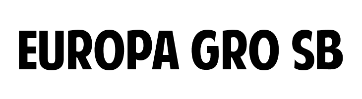 American Purpose  Free Fonts Download