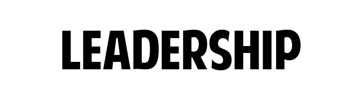 American Purpose  Free Fonts Download