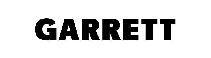 RACE1 Brannt NCV  Free Fonts Download