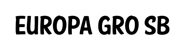American Purpose Casual 01  Free Fonts Download