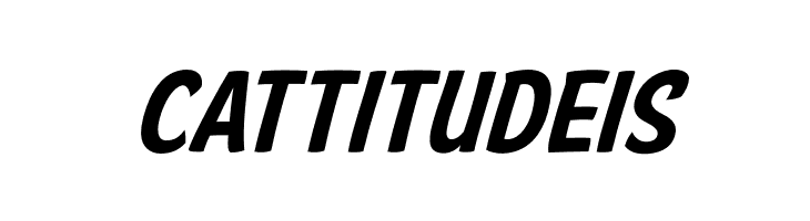 American Purpose Casual 02  Free Fonts Download