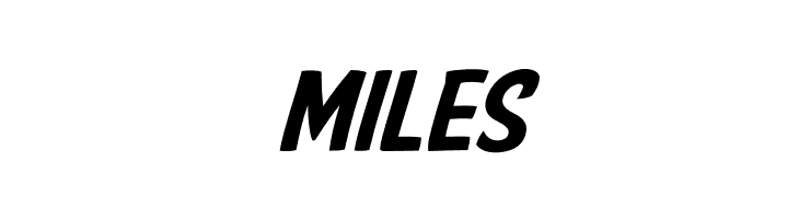 American Purpose Casual 02  Free Fonts Download