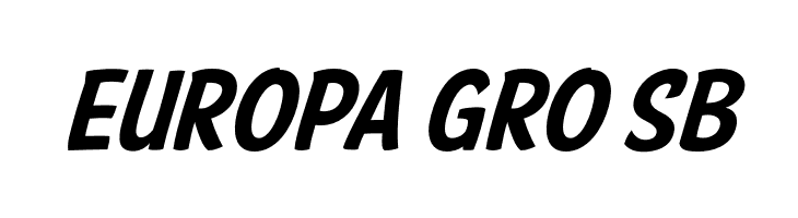 American Purpose Casual 02  Free Fonts Download