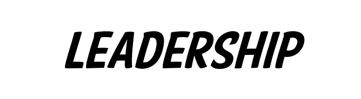 American Purpose Casual 02  Free Fonts Download