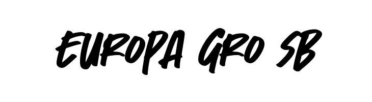 Fast Lane  Free Fonts Download