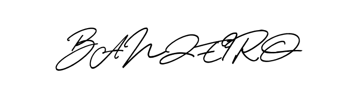 Thunder Stone Script  Free Fonts Download