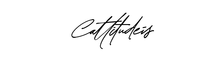 Thunder Stone Script  Free Fonts Download