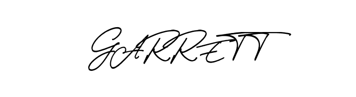 Thunder Stone Script  Free Fonts Download