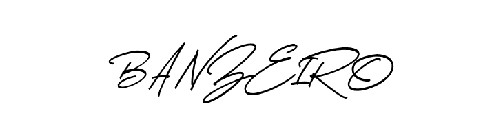 Thunder Stone Script Alt  Free Fonts Download