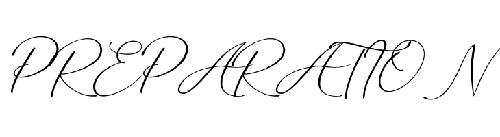 Marvelous Script Demo  Free Fonts Download