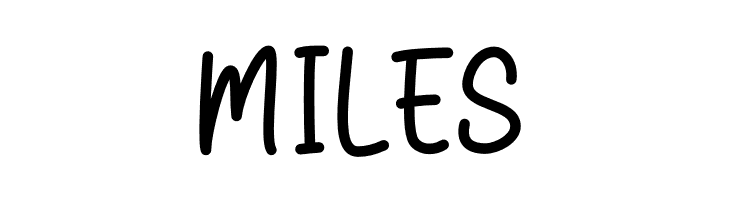 Blush And Bloom  Free Fonts Download