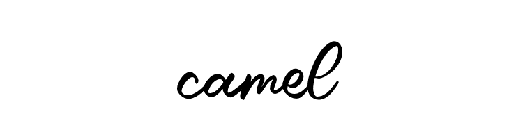 Caride Script Regular  Free Fonts Download