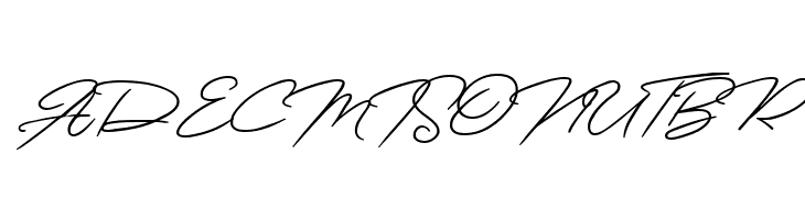 Monsttera  Free Fonts Download