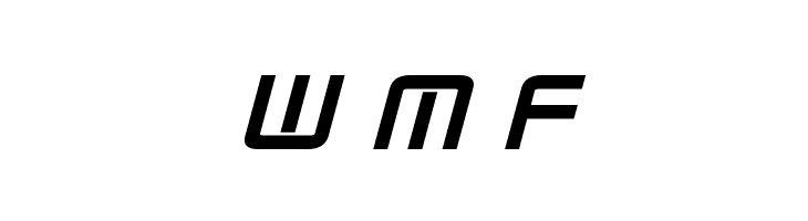 Radio Space Bold Italic  Free Fonts Download