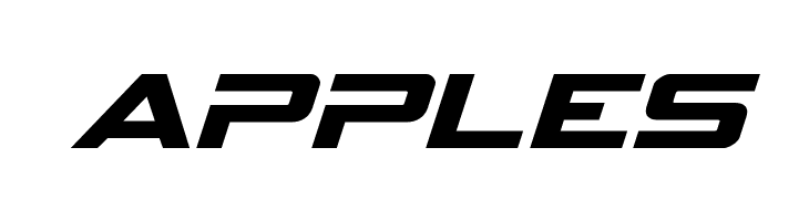 Spy Agency Expanded Italic  Free Fonts Download