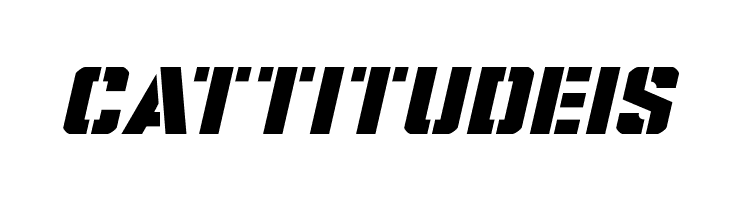 Covert Ops Expanded Italic  Free Fonts Download