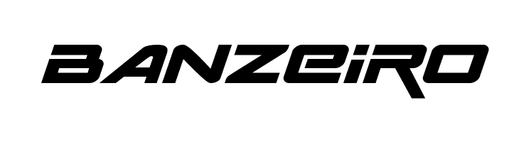 Space Ranger Expanded Italic  Free Fonts Download