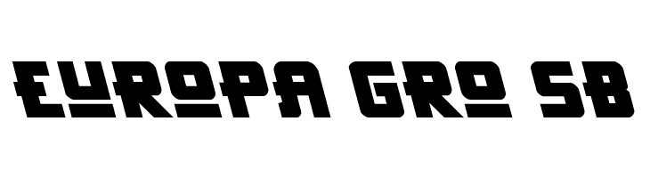 Hong Kong Hustle Leftalic  Free Fonts Download