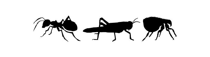Creepy Crawlies  Free Fonts Download