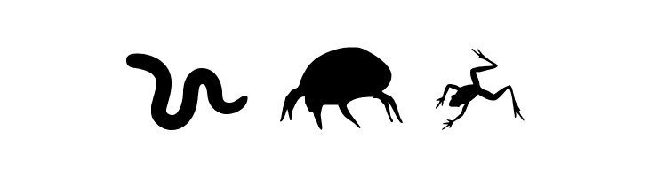 Creepy Crawlies  Free Fonts Download