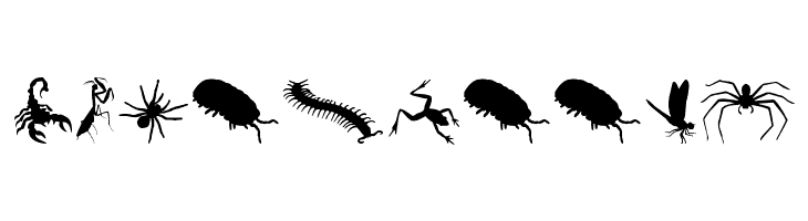 Creepy Crawlies  Free Fonts Download