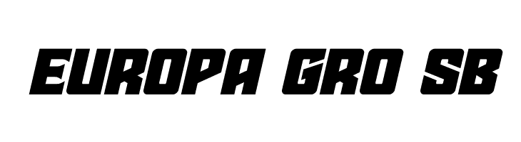 Star Guard Expanded Italic  Free Fonts Download