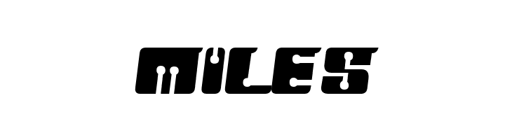 FLOPPY DISK 2  Free Fonts Download