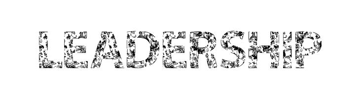 VTKS FLOWERS IN OUR SOUL  Free Fonts Download