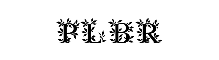 Gayane StO Regular  Free Fonts Download