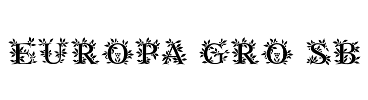 Gayane StO Regular  Free Fonts Download