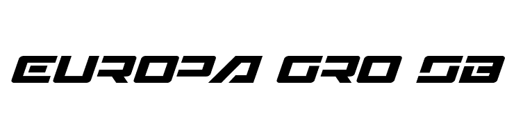 Wildcard Italic  Free Fonts Download