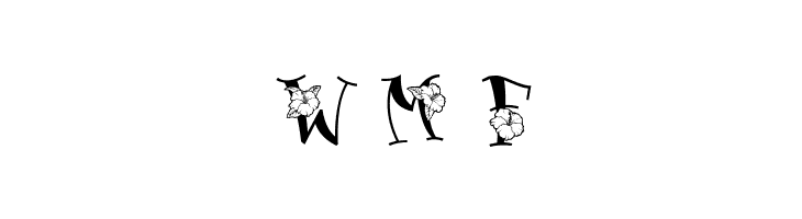 Blossom  Free Fonts Download