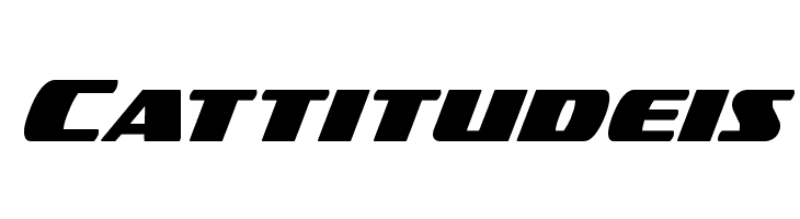 Americorps Bold  Free Fonts Download