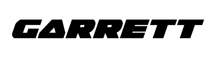 Guardian Italic  Free Fonts Download