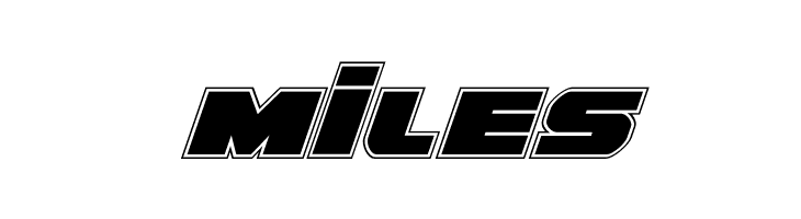 Guardian Academy Italic  Free Fonts Download