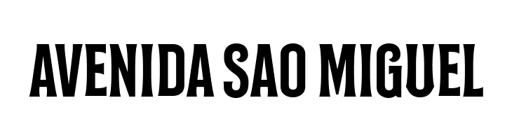 Bilcase Demo Demo  Free Fonts Download