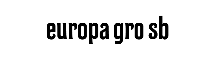 Bilcase Demo Demo  Free Fonts Download