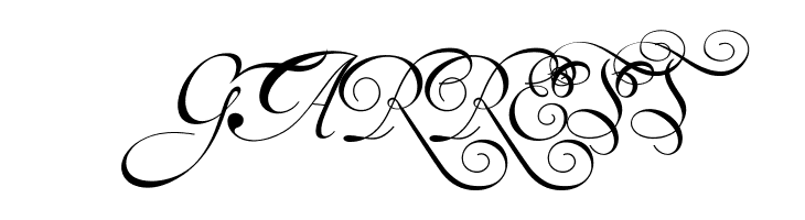 Van den Velde Script  Free Fonts Download