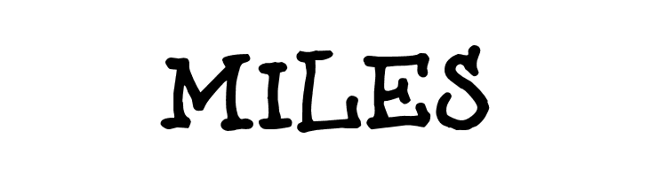 BrunoBook  Free Fonts Download