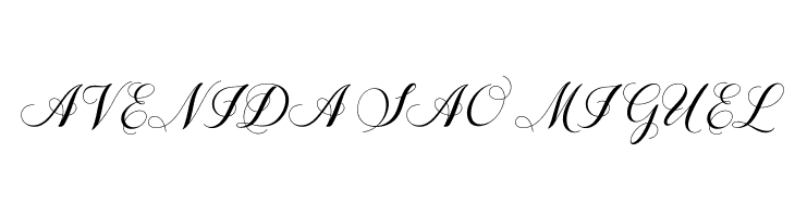 Shailena  Free Fonts Download