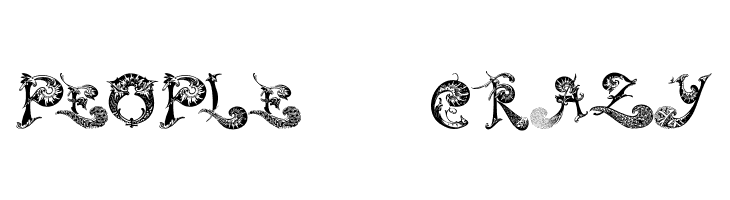 SchnoerkelCaps  Free Fonts Download