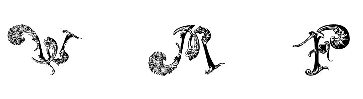 SchnoerkelCaps  Free Fonts Download