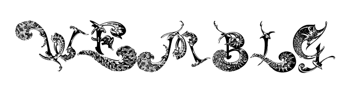 SchnoerkelCaps  Free Fonts Download